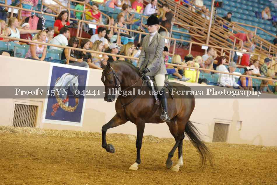 Proof 15YN_04241