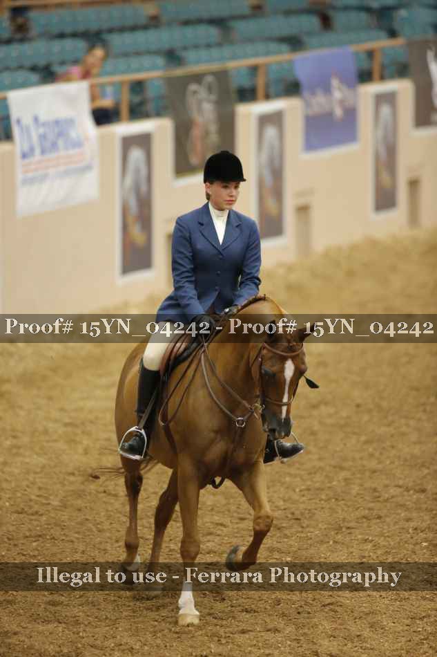 Proof 15YN_04242