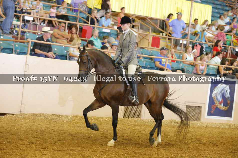 Proof 15YN_04243