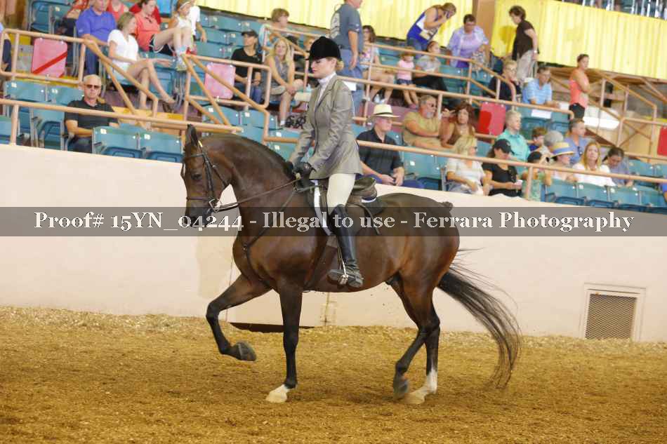 Proof 15YN_04244