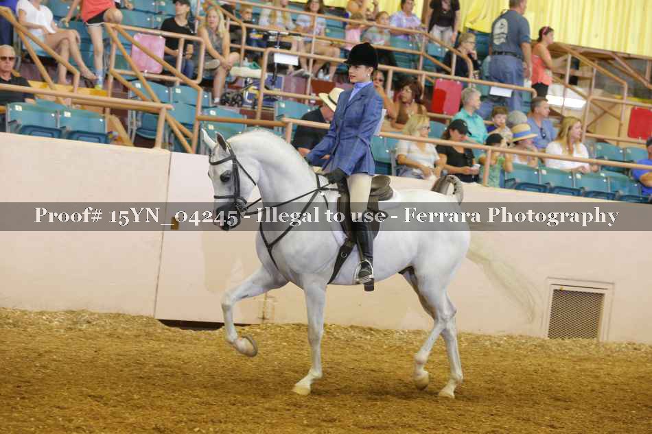 Proof 15YN_04245