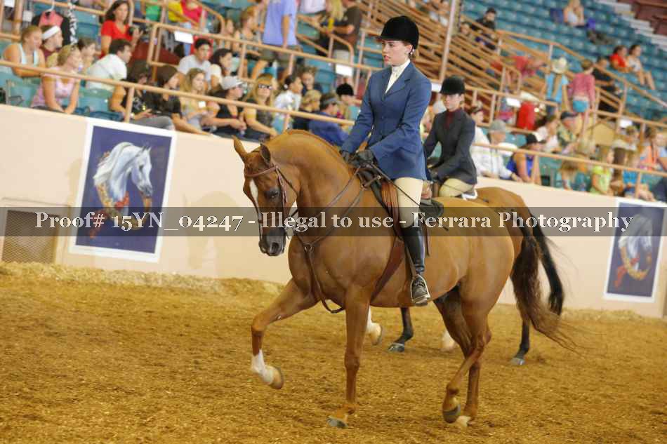 Proof 15YN_04247