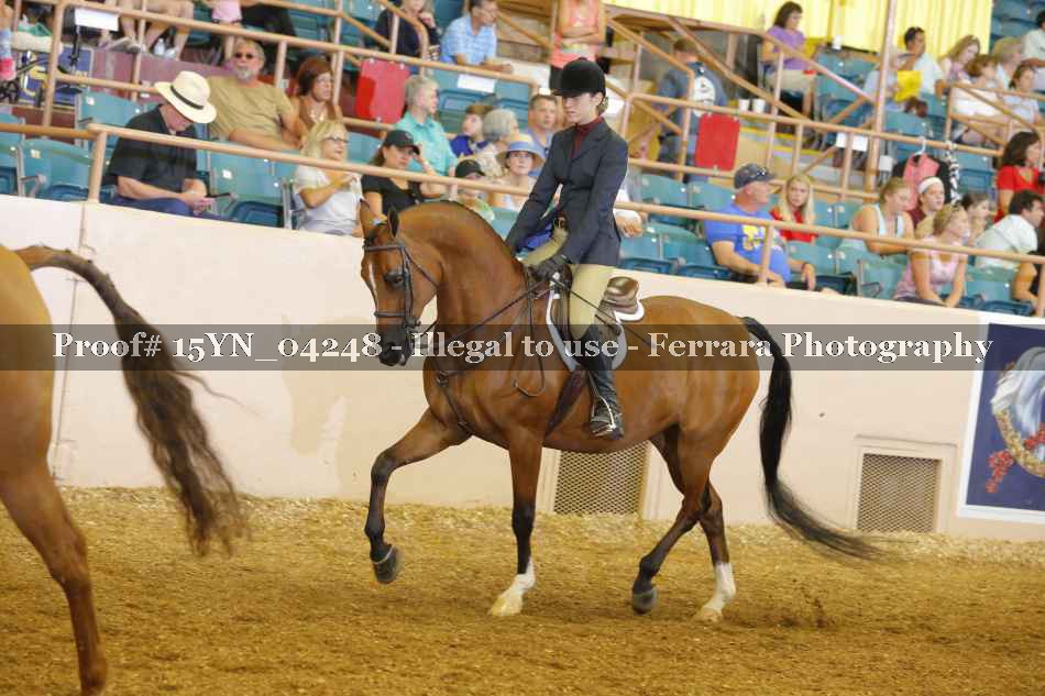 Proof 15YN_04248