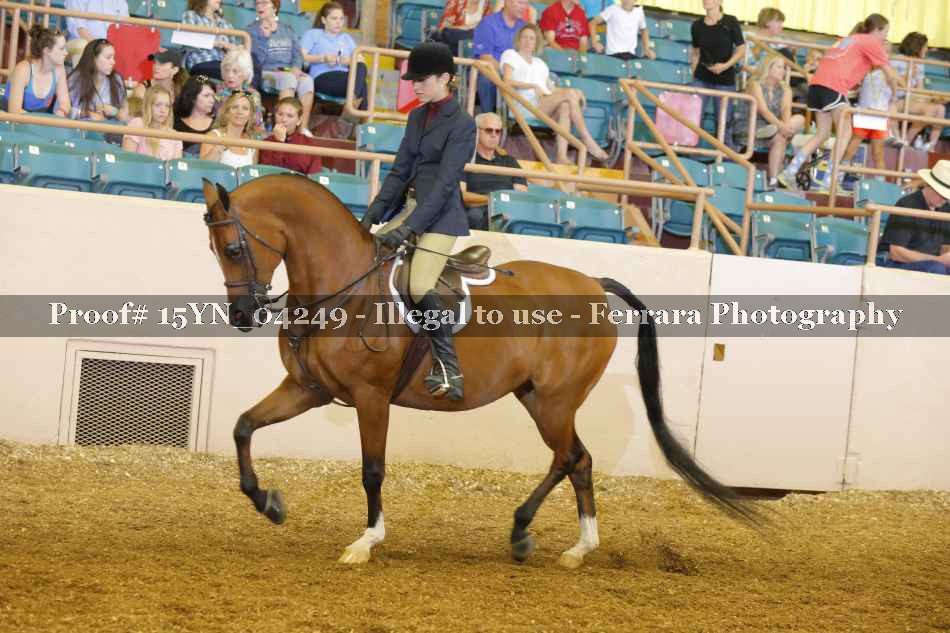 Proof 15YN_04249