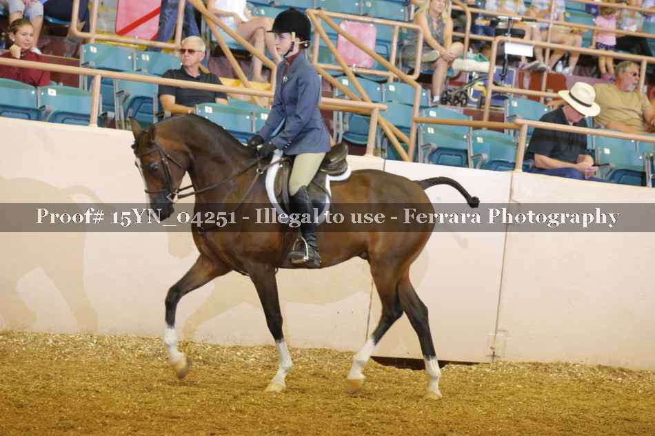 Proof 15YN_04251