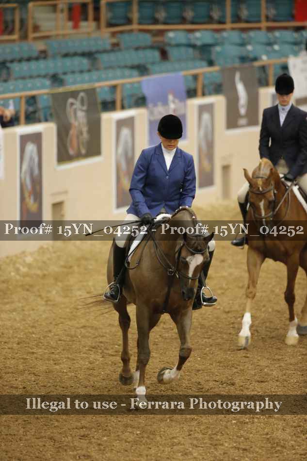 Proof 15YN_04252