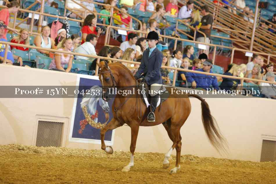 Proof 15YN_04253
