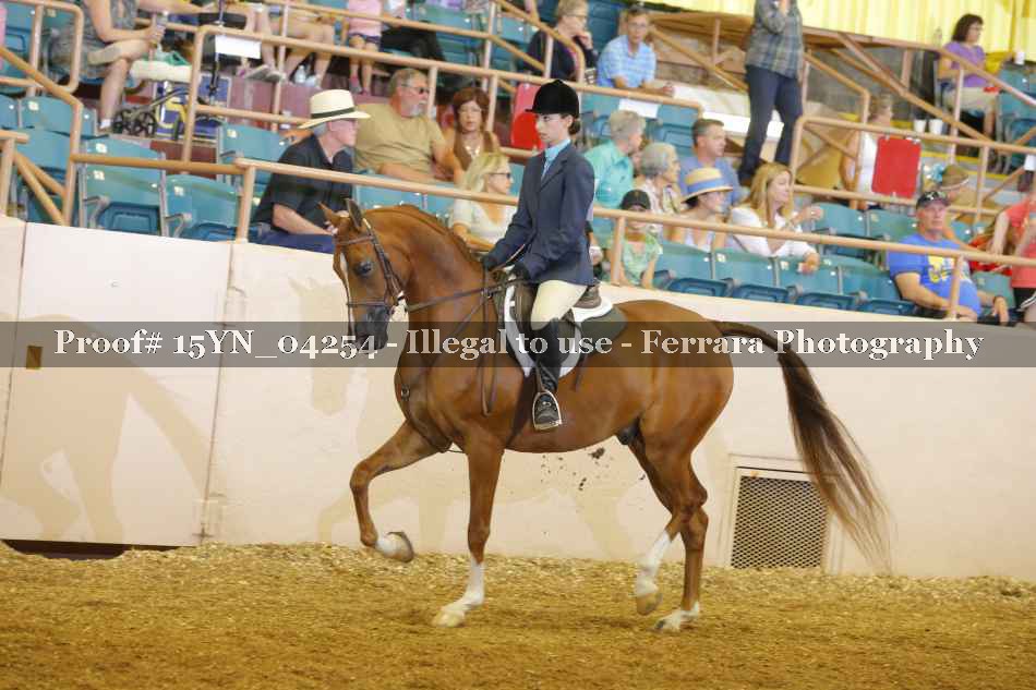 Proof 15YN_04254