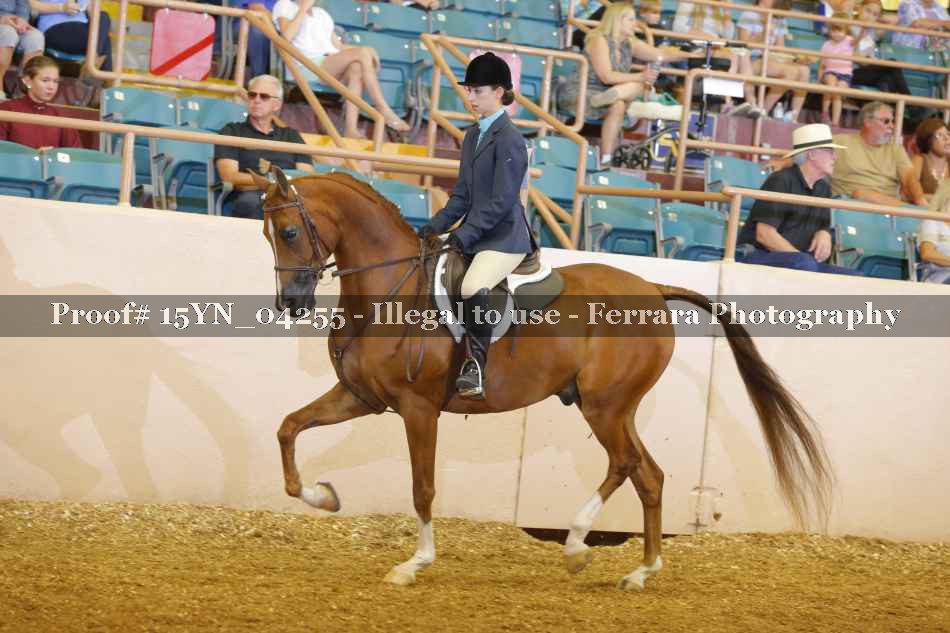 Proof 15YN_04255