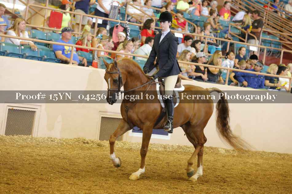 Proof 15YN_04256
