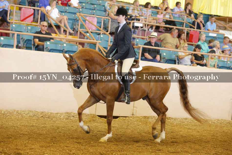 Proof 15YN_04257