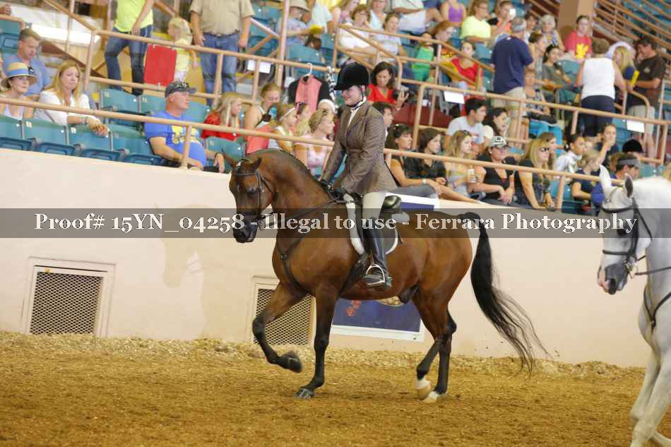 Proof 15YN_04258