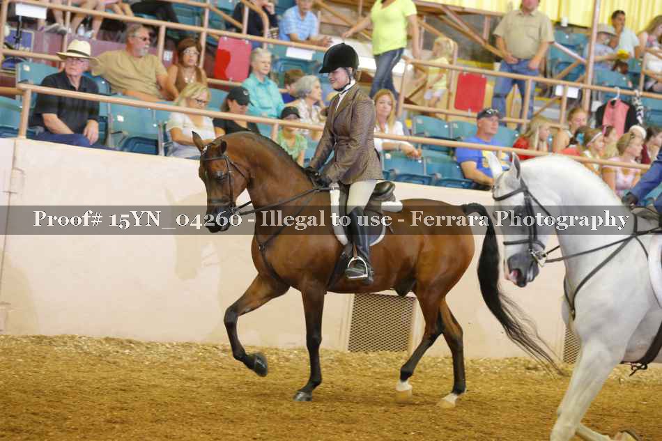 Proof 15YN_04260
