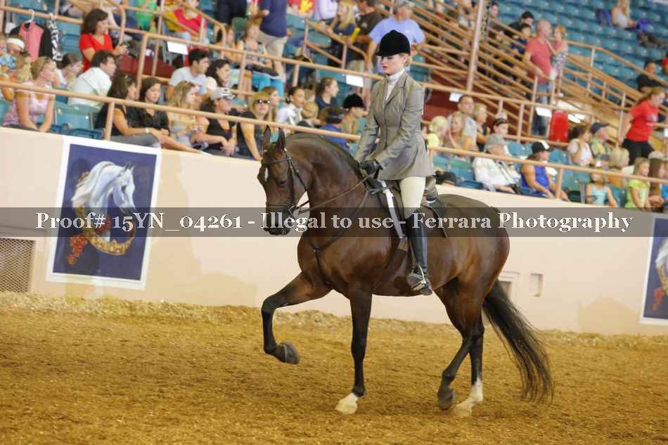 Proof 15YN_04261