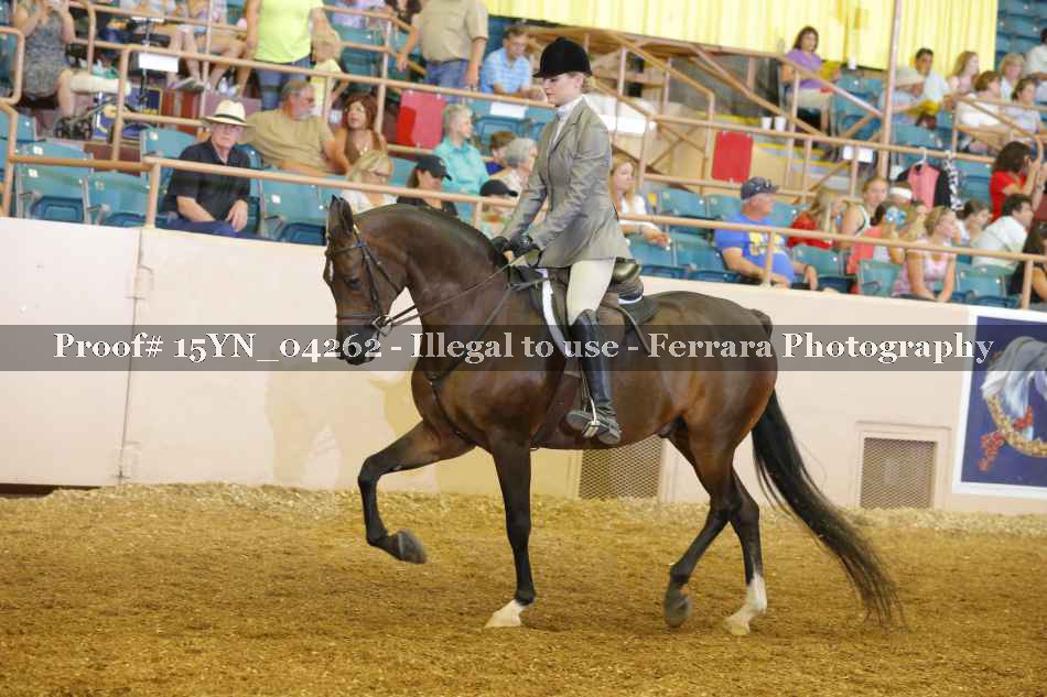 Proof 15YN_04262
