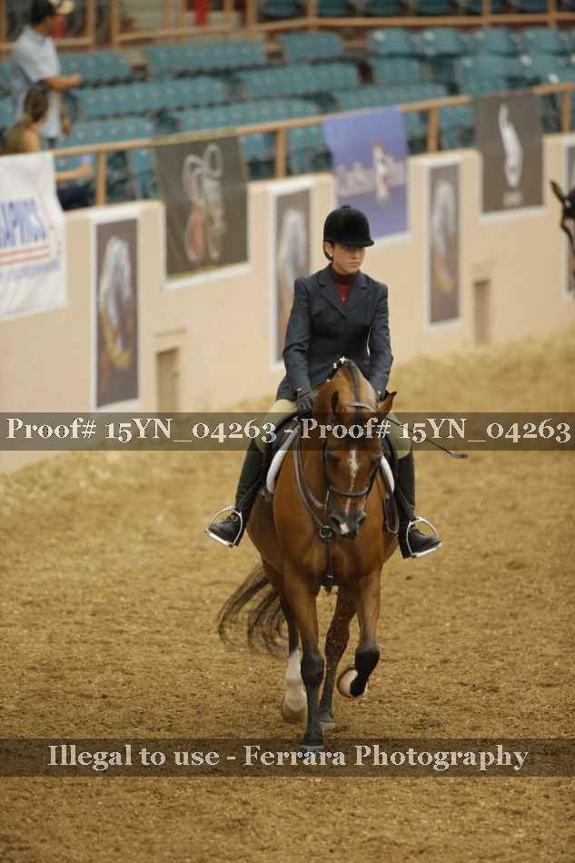 Proof 15YN_04263