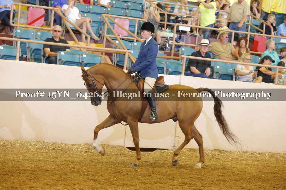 Proof 15YN_04264
