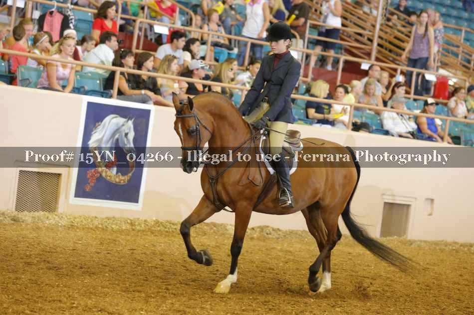 Proof 15YN_04266