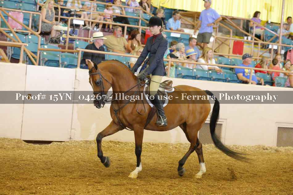 Proof 15YN_04267