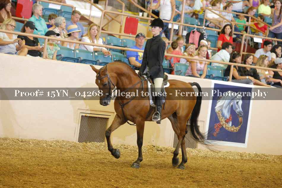 Proof 15YN_04268