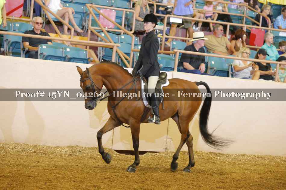 Proof 15YN_04269