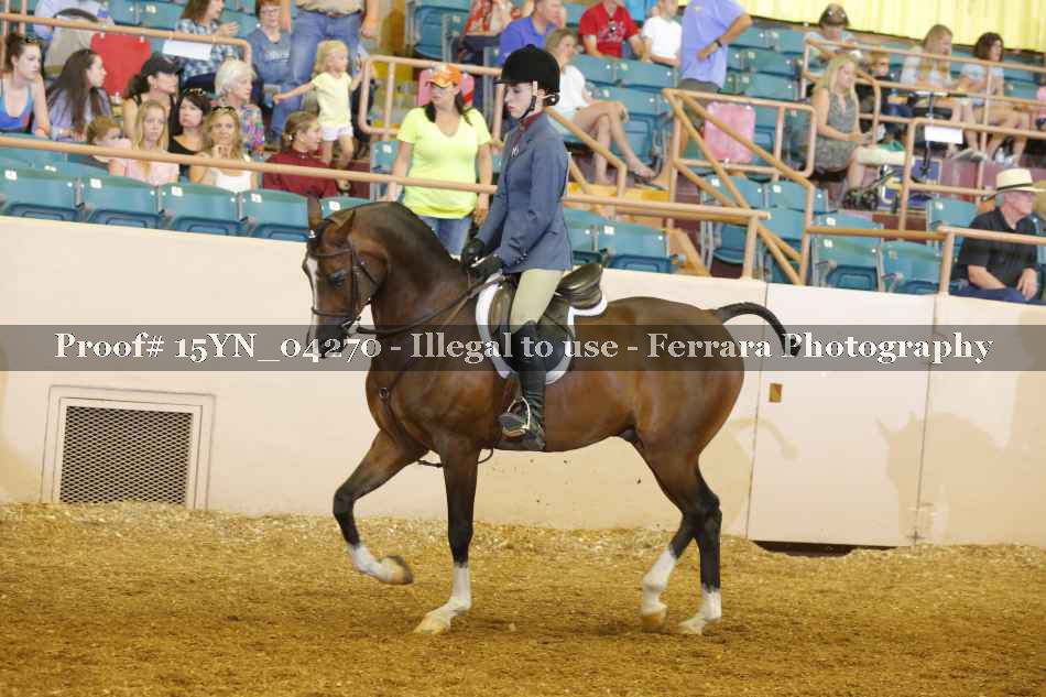 Proof 15YN_04270
