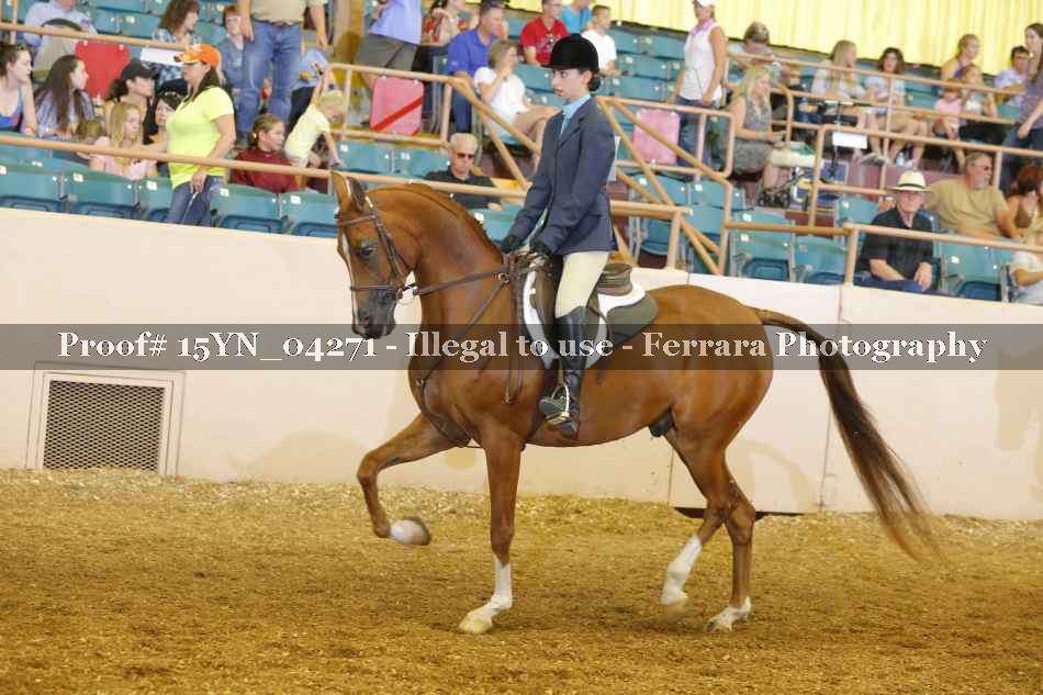 Proof 15YN_04271