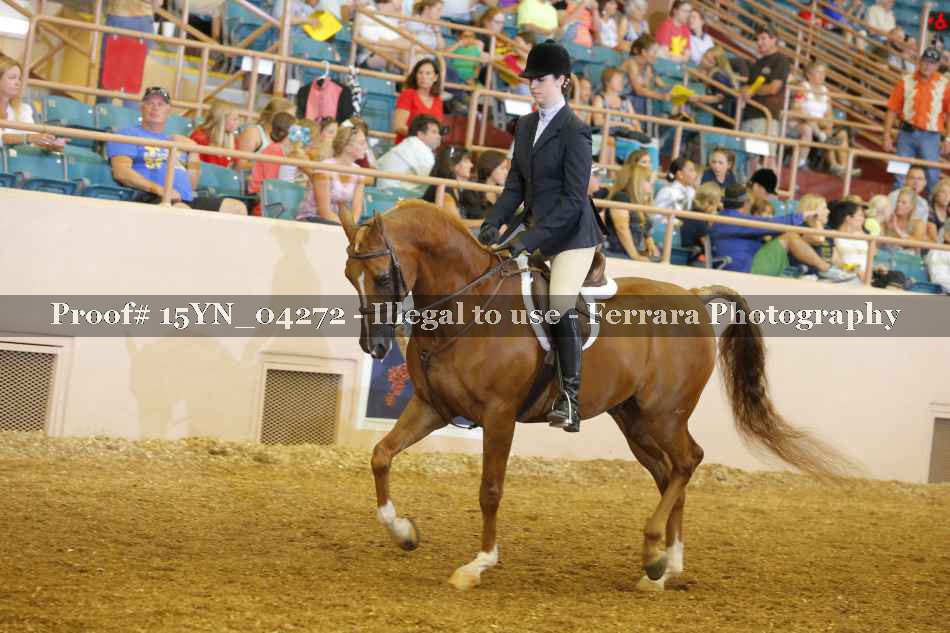 Proof 15YN_04272