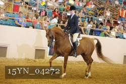 15YN_04272 proof