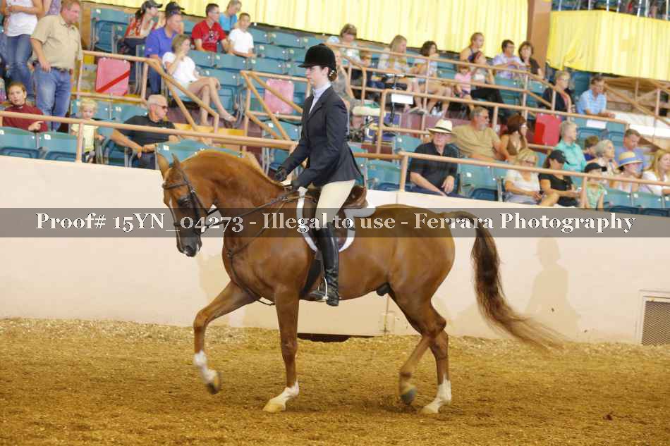 Proof 15YN_04273