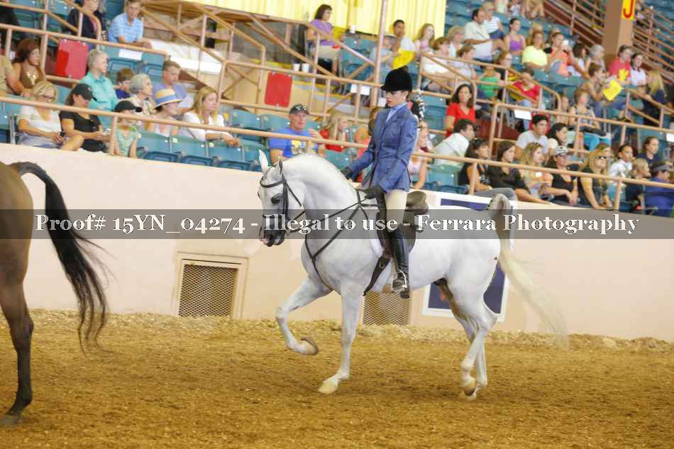 Proof 15YN_04274