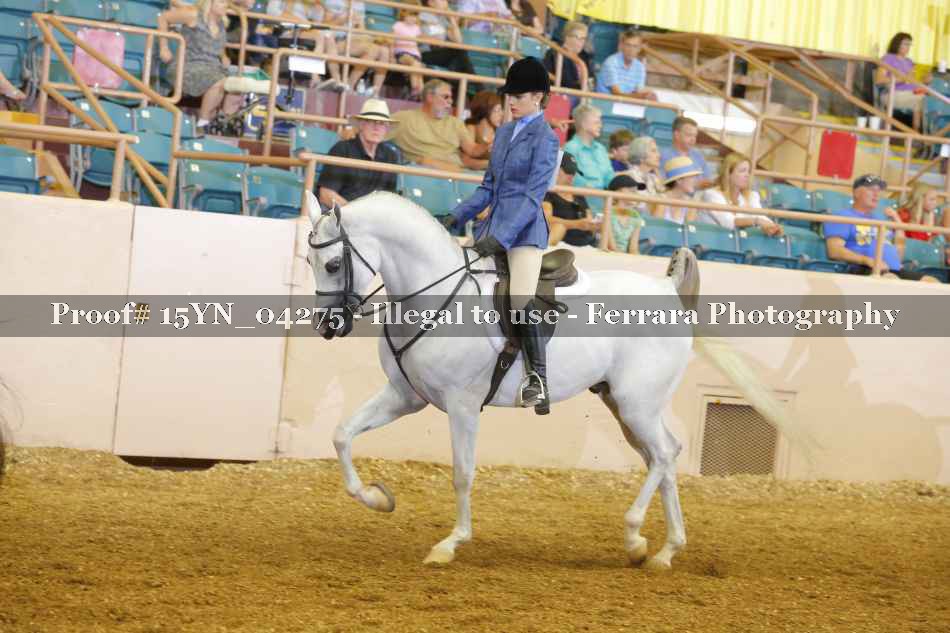 Proof 15YN_04275