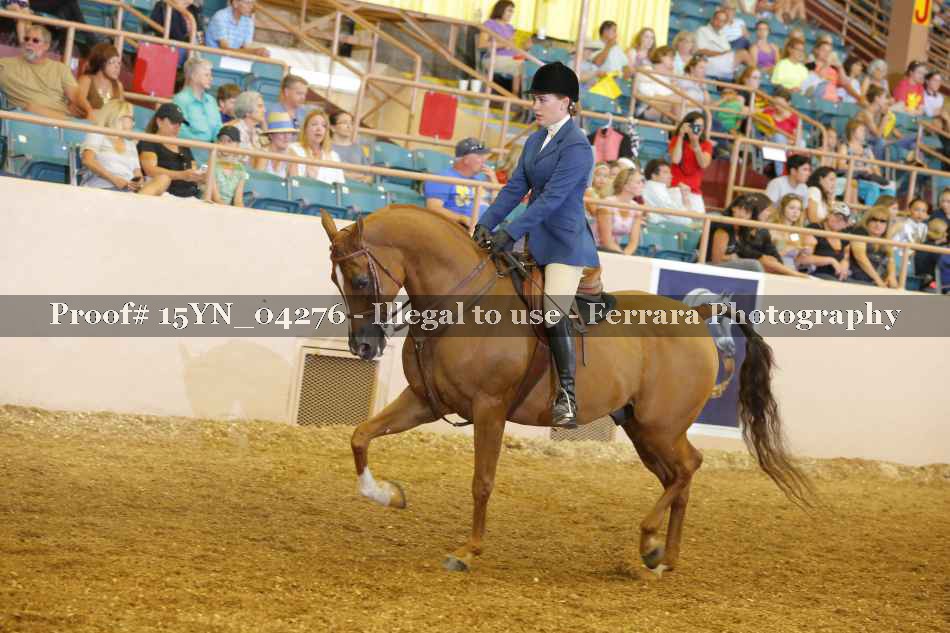 Proof 15YN_04276