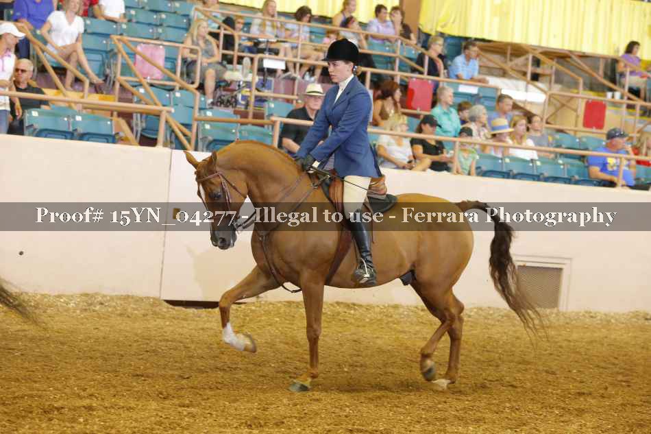 Proof 15YN_04277