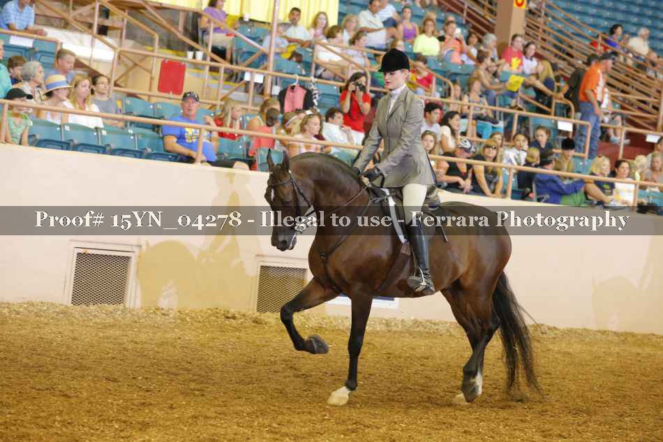 Proof 15YN_04278