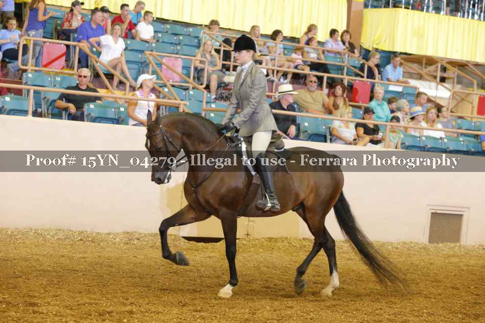 Proof 15YN_04279