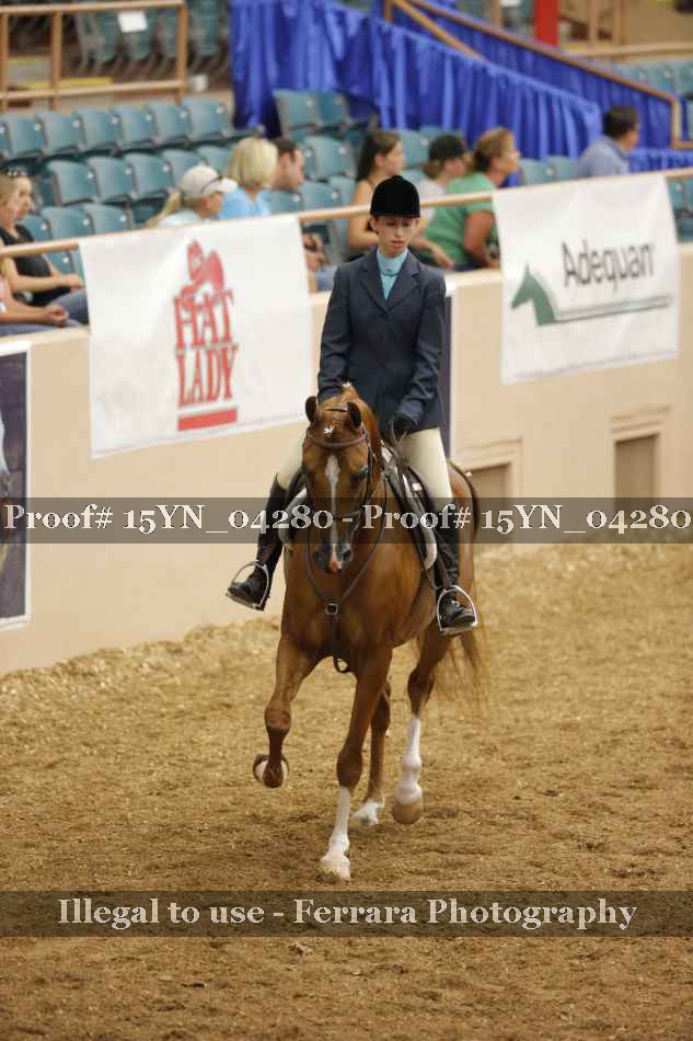 Proof 15YN_04280