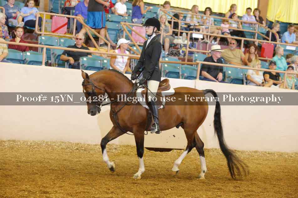 Proof 15YN_04281