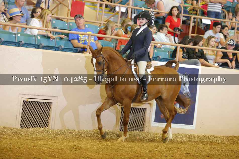 Proof 15YN_04285
