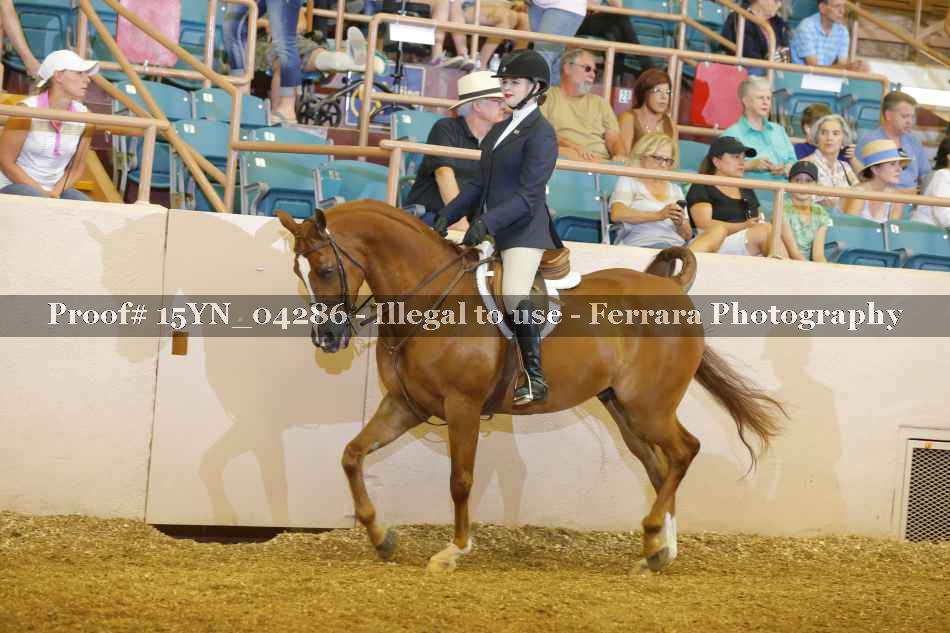 Proof 15YN_04286
