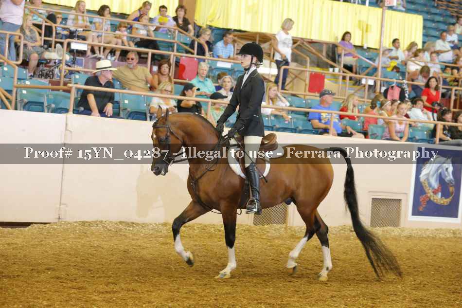 Proof 15YN_04287