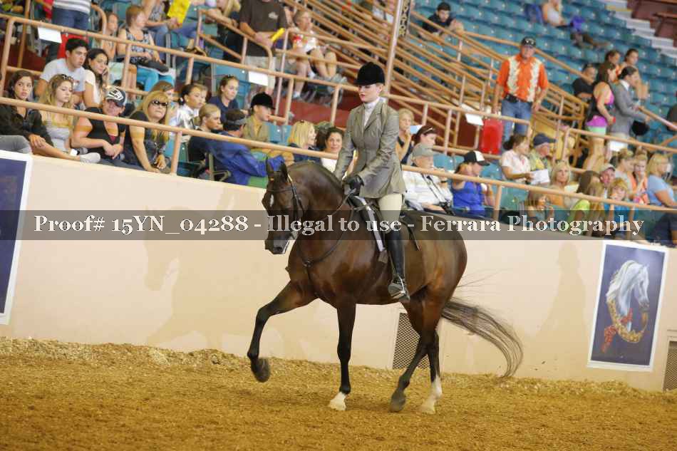 Proof 15YN_04288