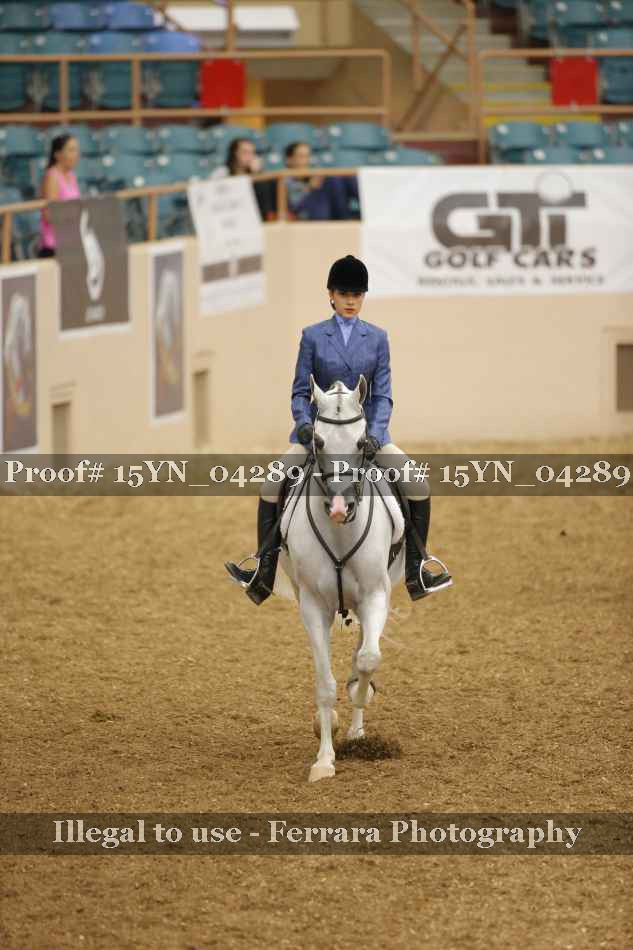Proof 15YN_04289