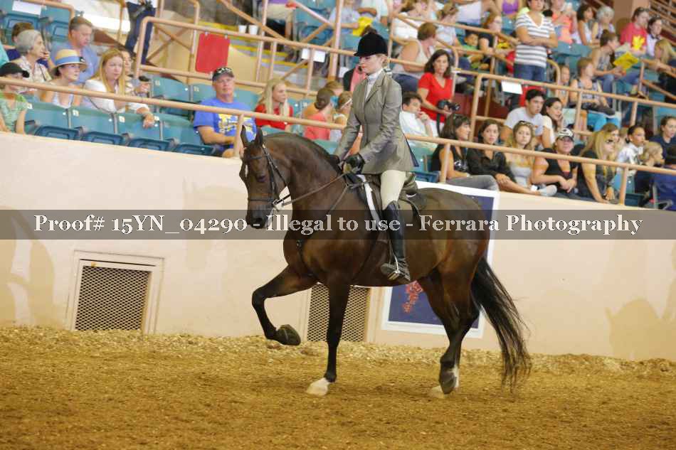 Proof 15YN_04290