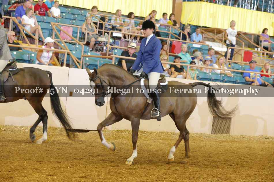 Proof 15YN_04291