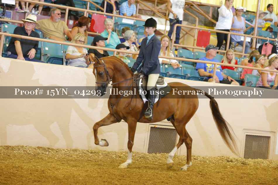 Proof 15YN_04293