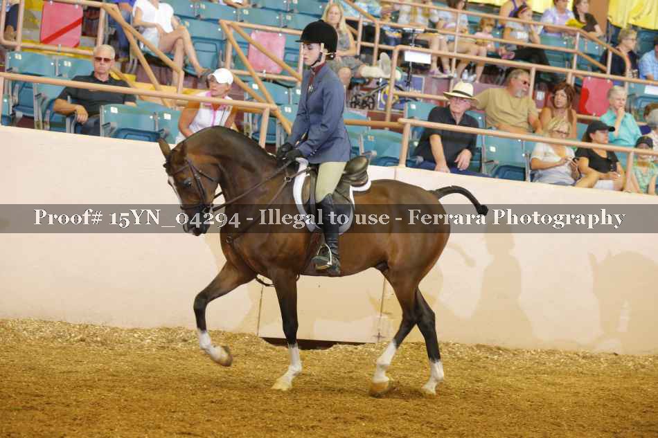 Proof 15YN_04294