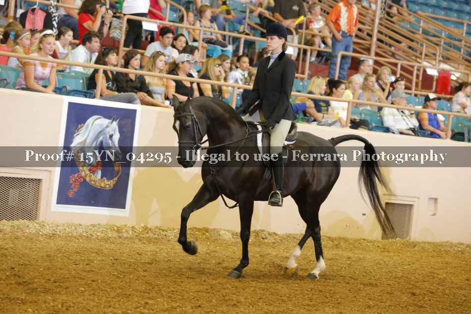 Proof 15YN_04295