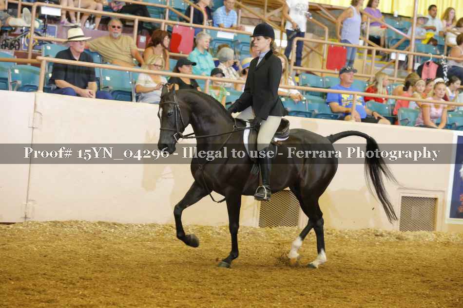 Proof 15YN_04296