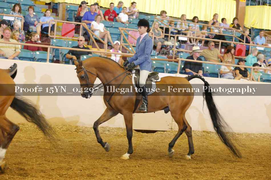 Proof 15YN_04297